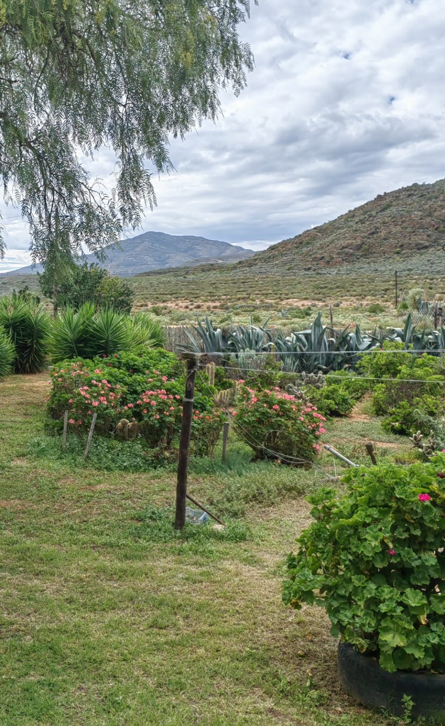 3 Bedroom Property for Sale in Uniondale Western Cape